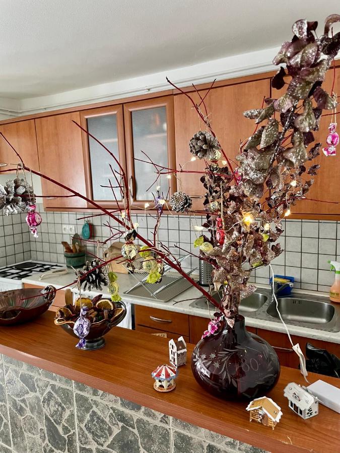 Apartma Pri Soci Apartment โบเว็ก ภายนอก รูปภาพ